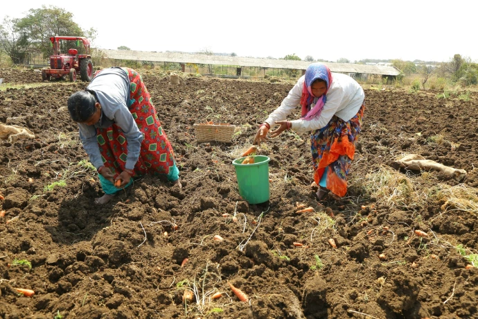 a couple of women in a field with carrots